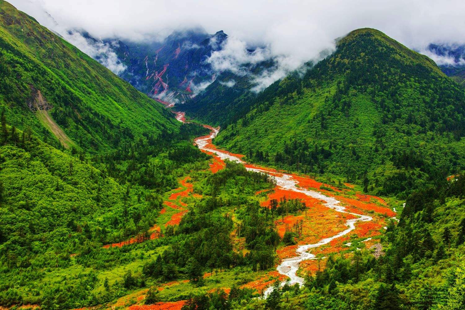 四川小巷深处的味觉秘境探索
