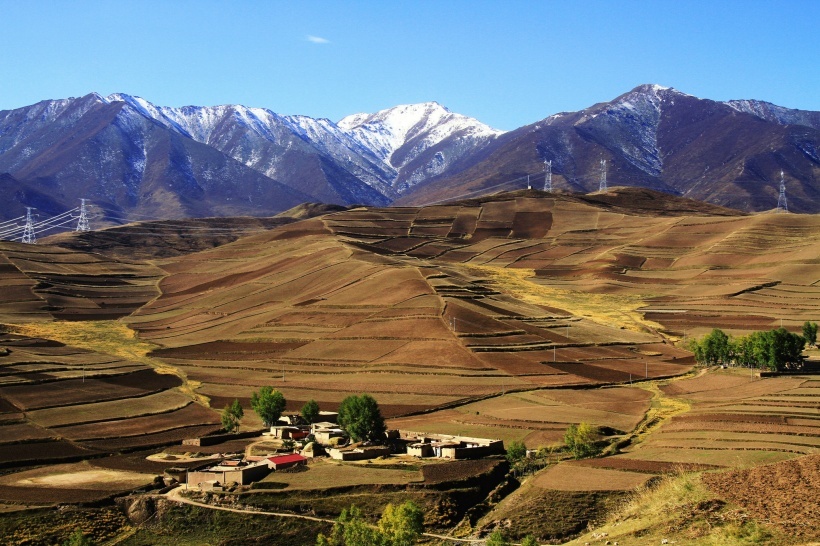 甘肃盛会,领导亲临,共聚友谊盛典