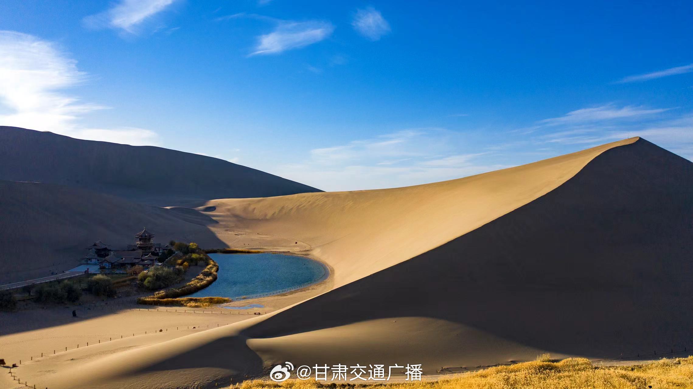甘肃盛会,领导亲临,共聚友谊盛典