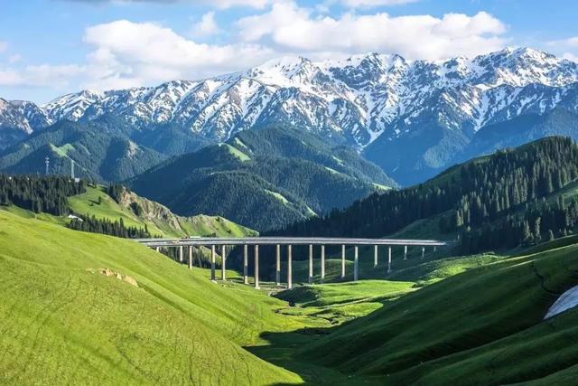 新疆深巷里的秘密花园，探访隐藏的特色小店