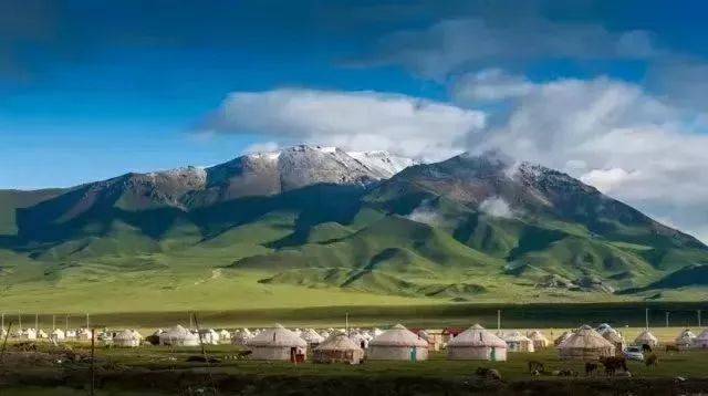 新疆深巷里的秘密花园,探访隐藏的特色小店