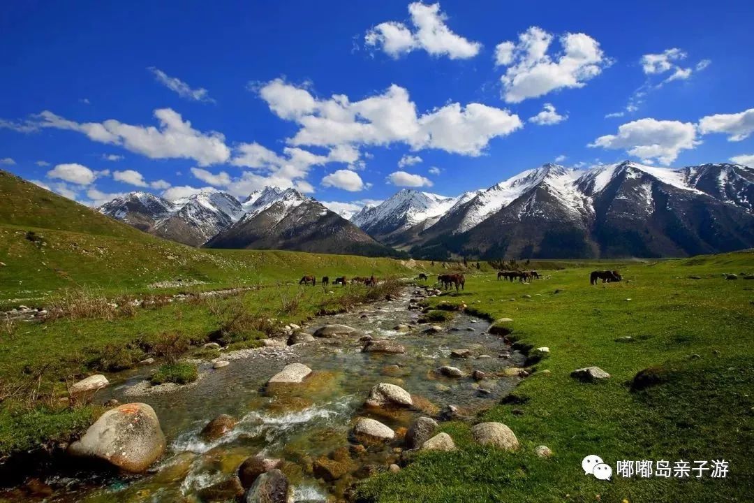 新疆深巷里的秘密花园,探访隐藏的特色小店